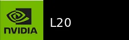 L20 显卡图片