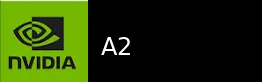 NVIDIA A2 显卡图片