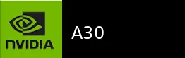 NVIDIA A30 显卡图片