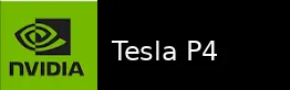 Tesla P4 显卡图片